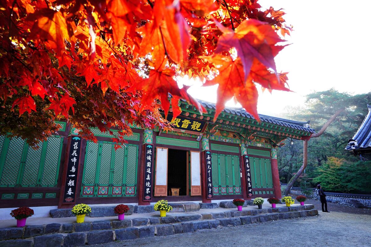 공주 갑사
