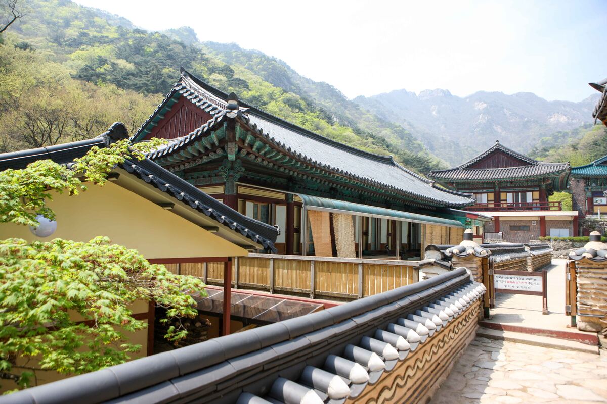 동학사