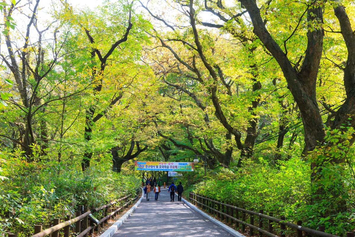 Gyeryongsan National Park
