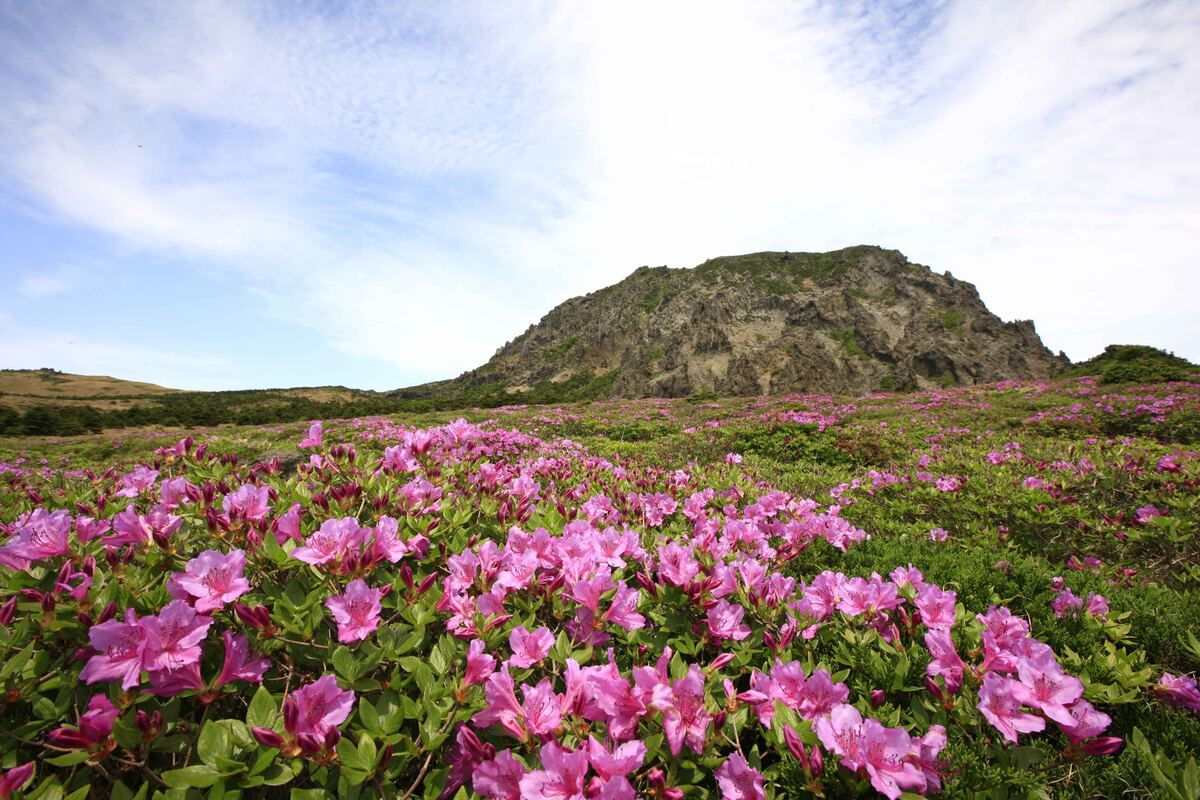 한라산