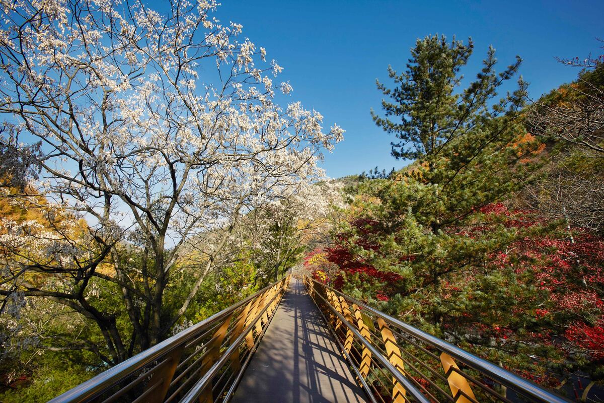 장태산자연휴양림