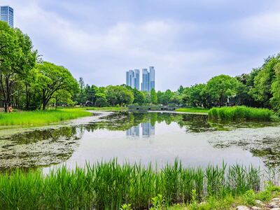 Seoul Forest