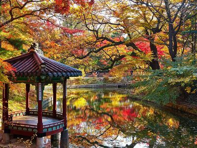 The Secret Garden