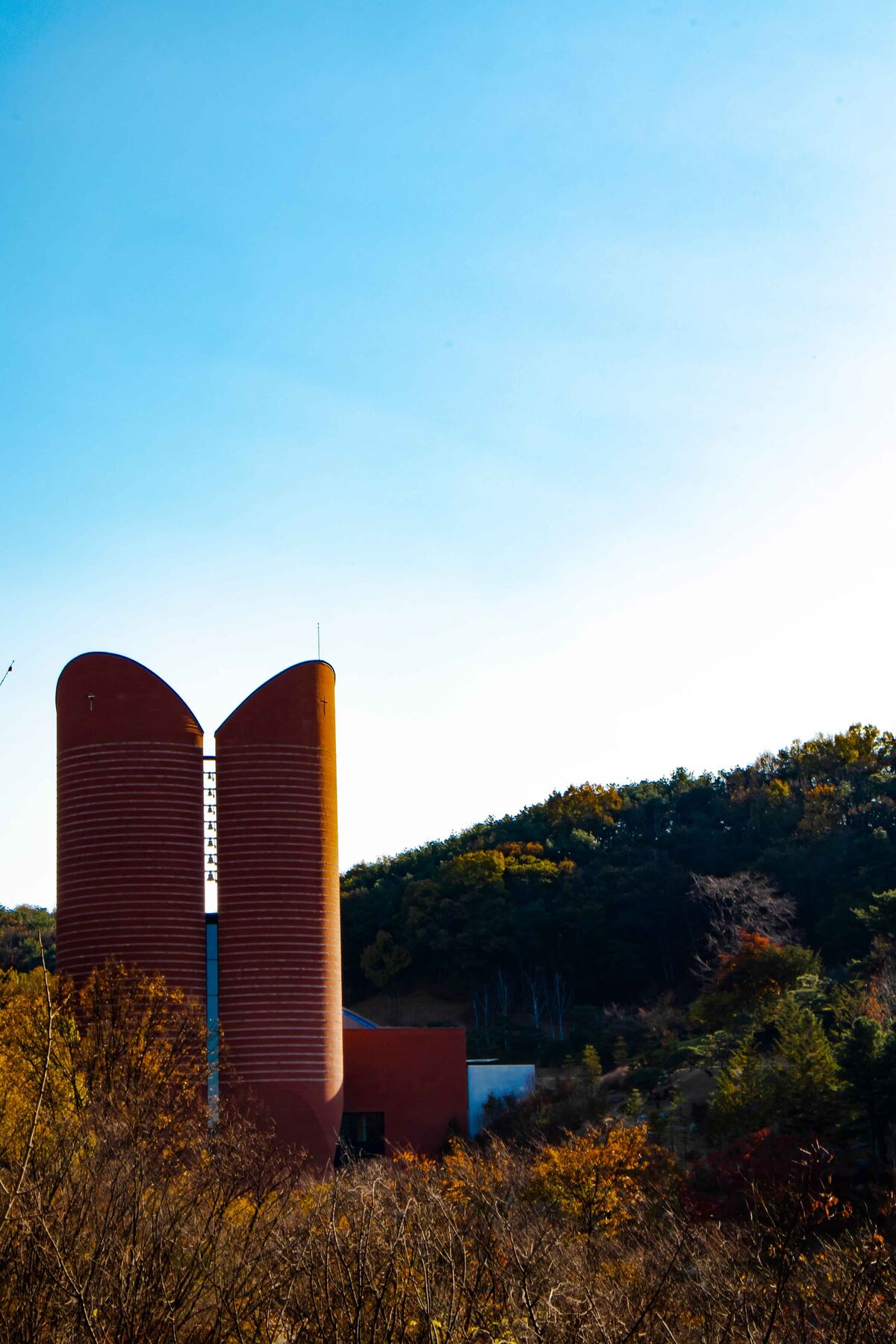 남양성모성지