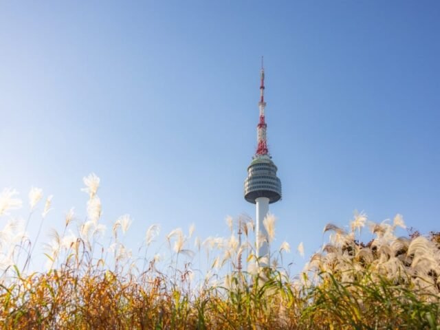 N Seoul Tower
