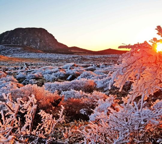 Hallasan National Park