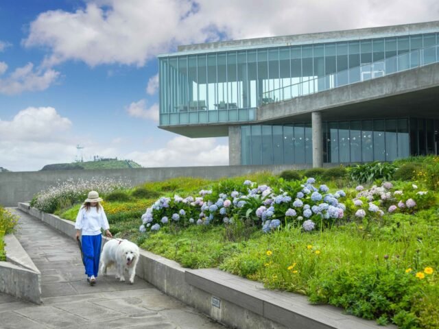 Phoenix Jeju Glass House