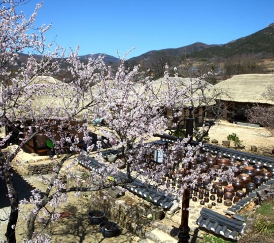 Naganeupseong Naganeupseong