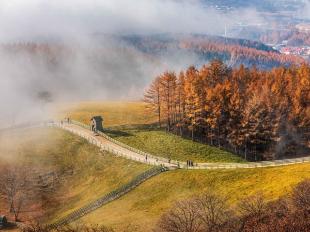 Yangtte Ranch Yangtte Ranch