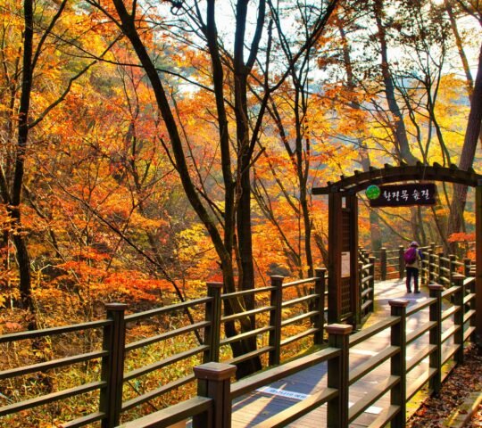 Chiaksan National Park