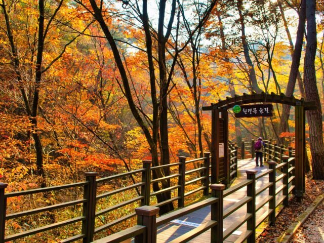 Chiaksan National Park