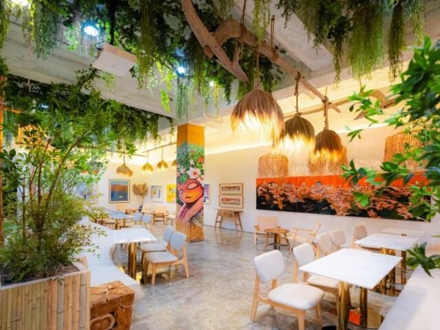 Coconut Box Coconut Box