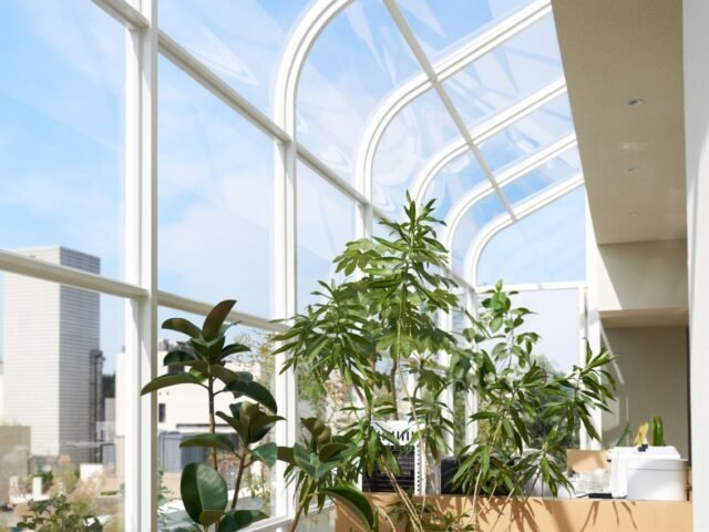 Chahong Ardor Flagship