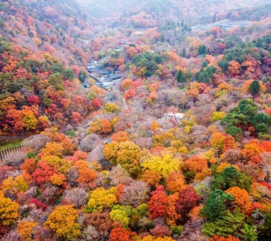 Gayasan National Park