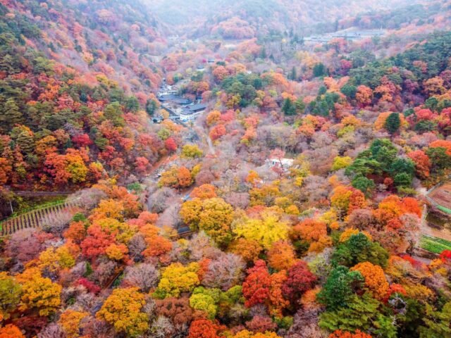 Gayasan National Park