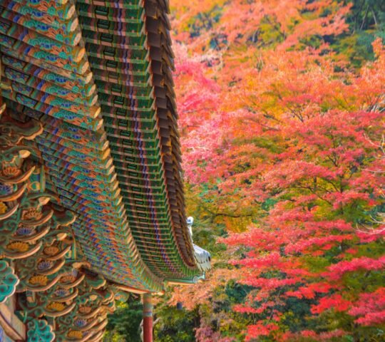 Naejangsan National Park