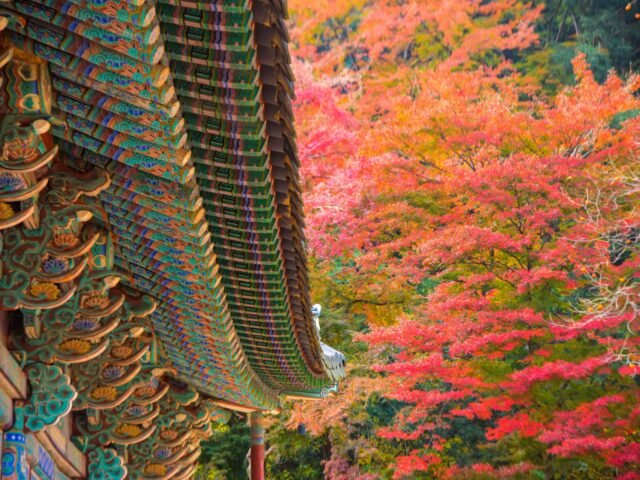 Naejangsan National Park Naejangsan National Park