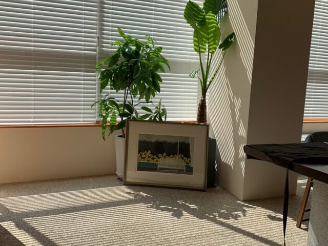 deepin Oksu deepin Oksu