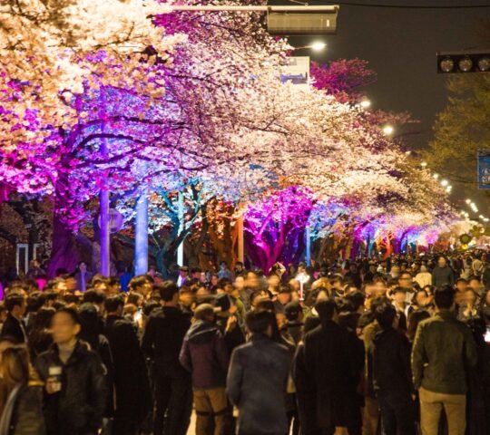 Yeouido Yunjung-ro Yeouido Yunjung-ro