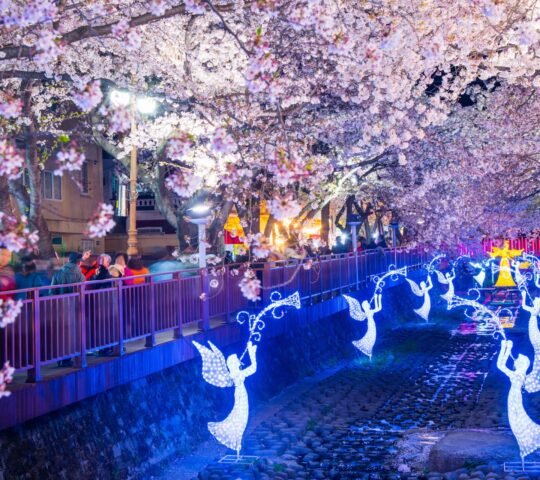 Jinhae Gunhangje Jinhae Gunhangje