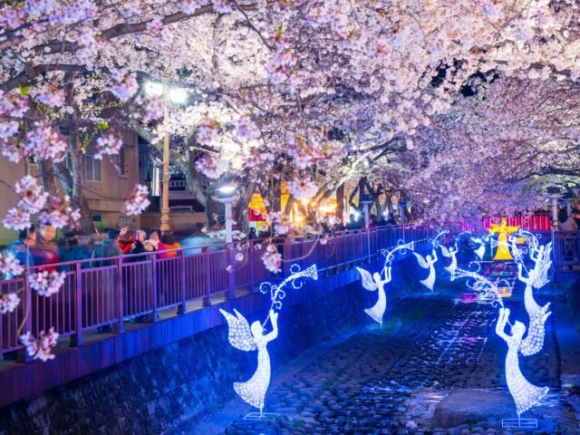 Jinhae Gunhangje Jinhae Gunhangje