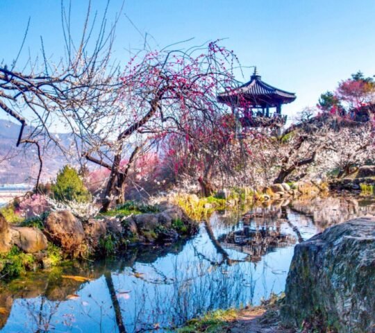 Gwangyang Maehwa Village