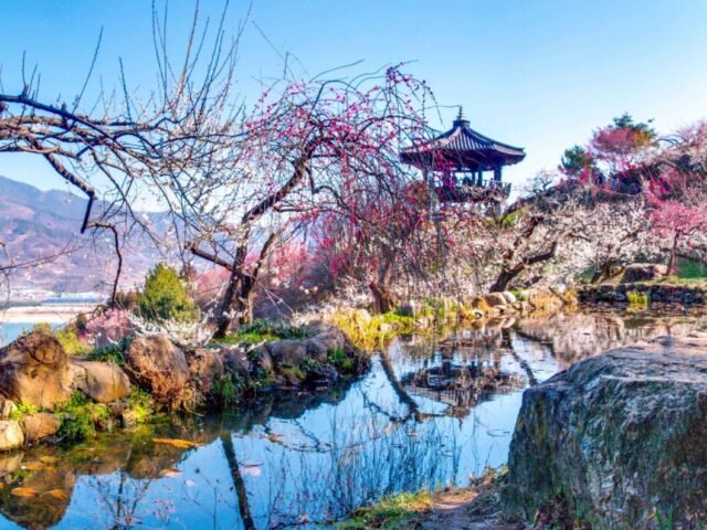 Gwangyang Maehwa Village Gwangyang Maehwa Village